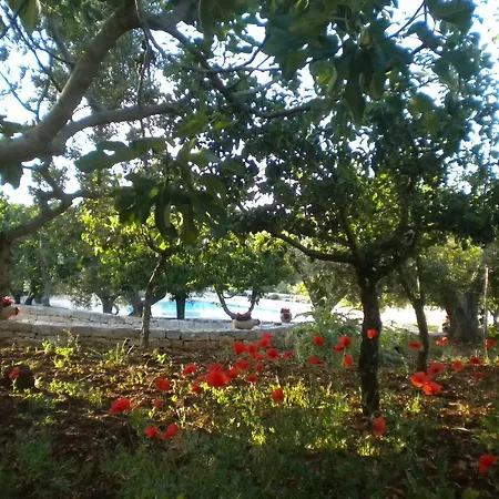 Truddhi Casa E Cucina Di Puglia 4* Locorotondo